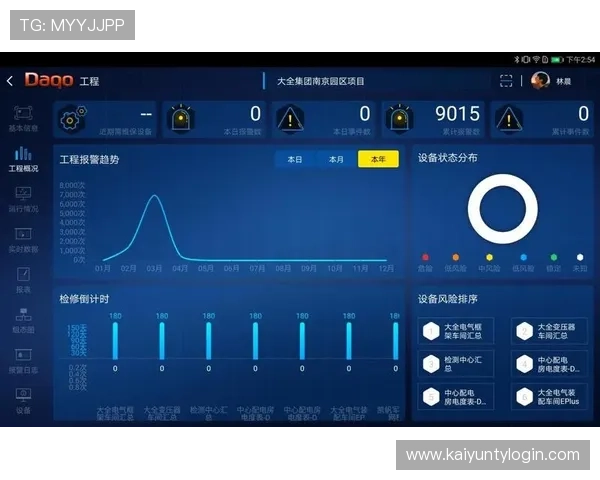 如何有效应对开云app登录入口出现的登录异常问题与解决技巧