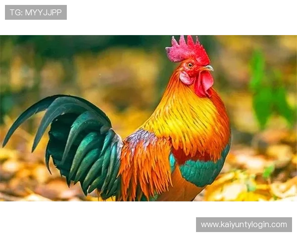 开运app手机版带来每日好运气，轻松提升生活幸福感的最佳选择